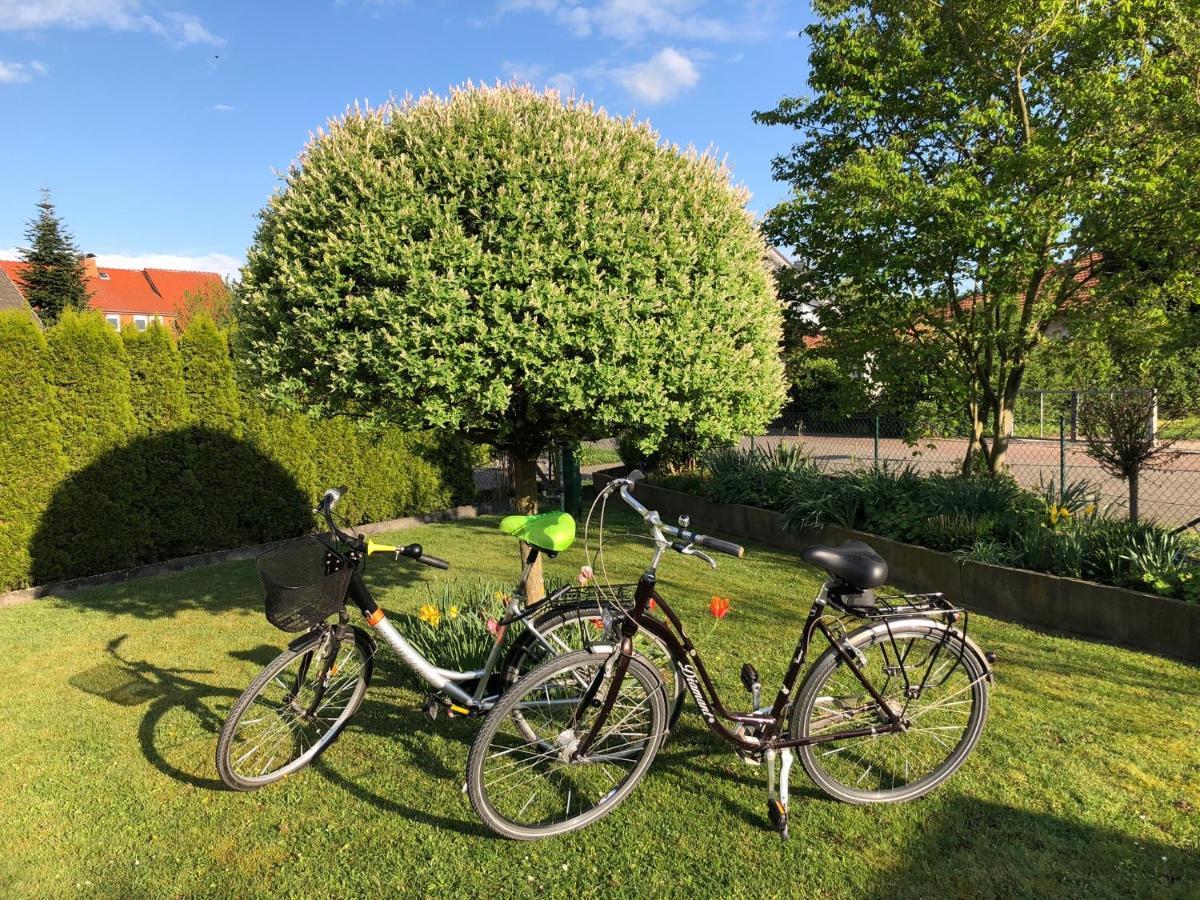 Ferienwohnung Hameln Direkt Am Weserradweg Hamelin Ngoại thất bức ảnh